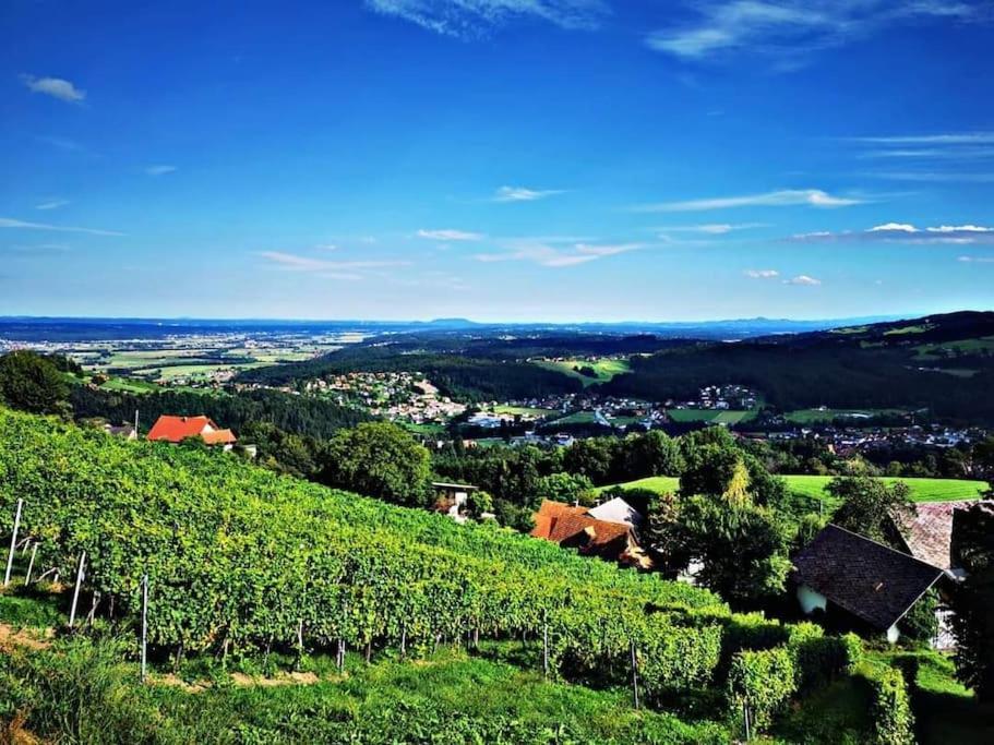 Wiednermichl - Urlaub In Den Weinbergen Krottendorf bei Ligist Εξωτερικό φωτογραφία